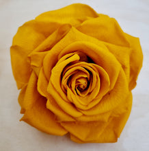 Load image into Gallery viewer, Marigold Orange Preserved Rose Floral Scented Mason Jar
