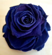 Load image into Gallery viewer, Preserved Rose Scent Kits. Royal Blue
