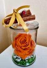 Load image into Gallery viewer, Orange Preserved Rose Floral Scented Mason Jar
